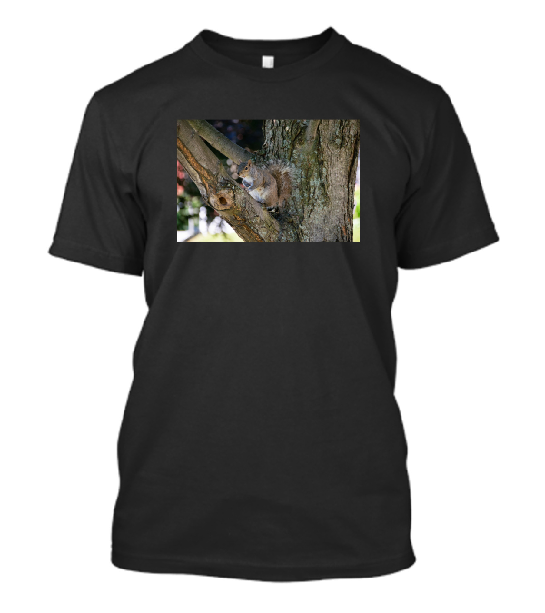 Squirrel In A Tree T-Shirt