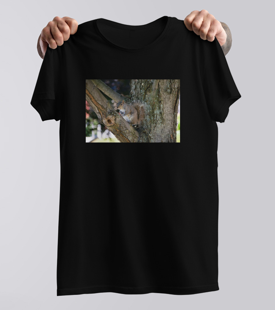 Squirrel In A Tree T-Shirt