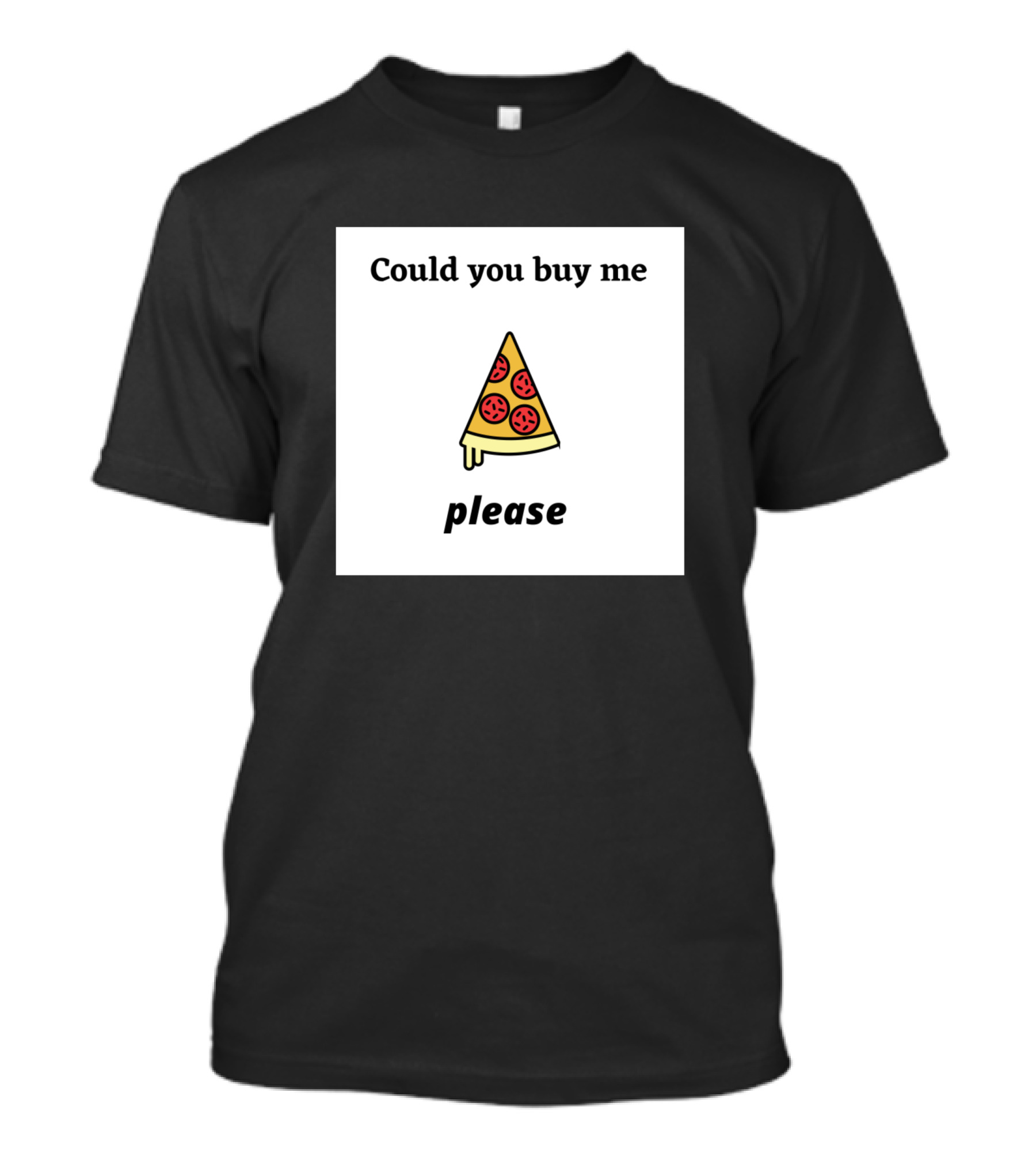 Could You Buy Me Pizza Please I Love Pizza Verry Much Pizza Lover T-Shirt