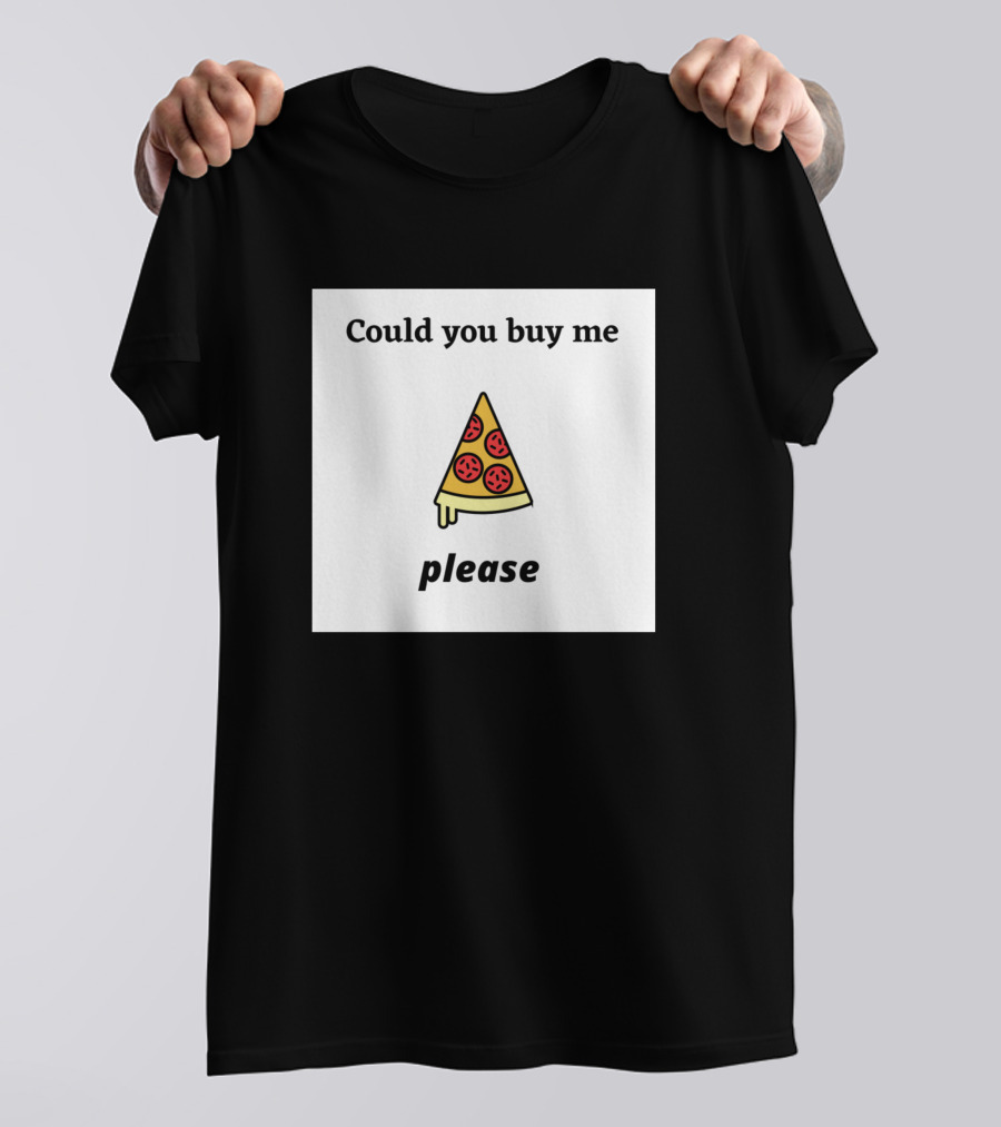 Could You Buy Me Pizza Please I Love Pizza Verry Much Pizza Lover T-Shirt