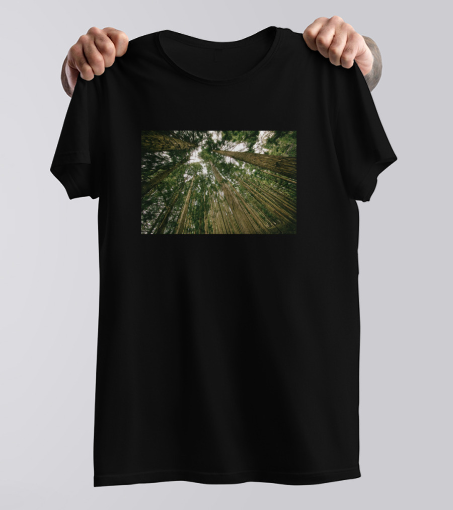 Tree Forest Wood Nature Tall Canopy View T-Shirt