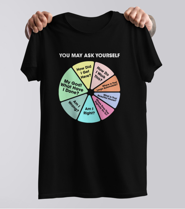 You May Ask Yourself How Did I Get Here My God What Have I Done Pie Chart T-Shirt