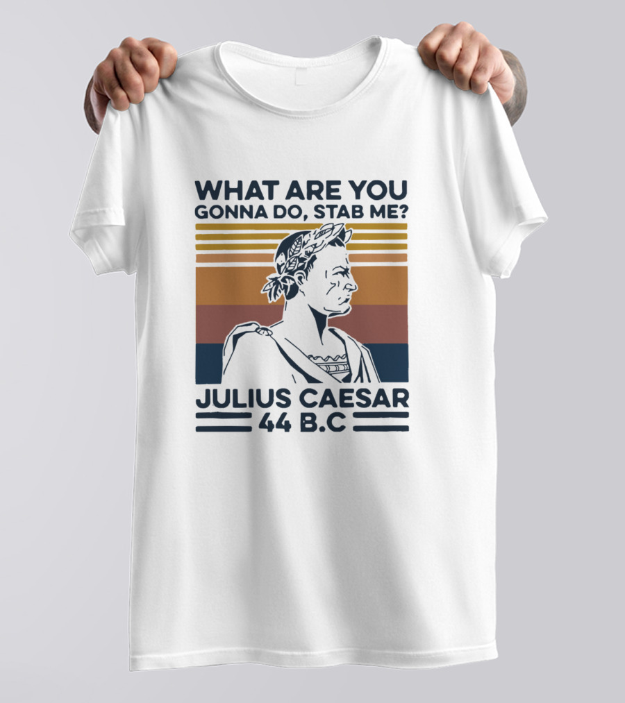 What Are You Gonna Do Stab Me Julius Caesar 44 B.C T-Shirt