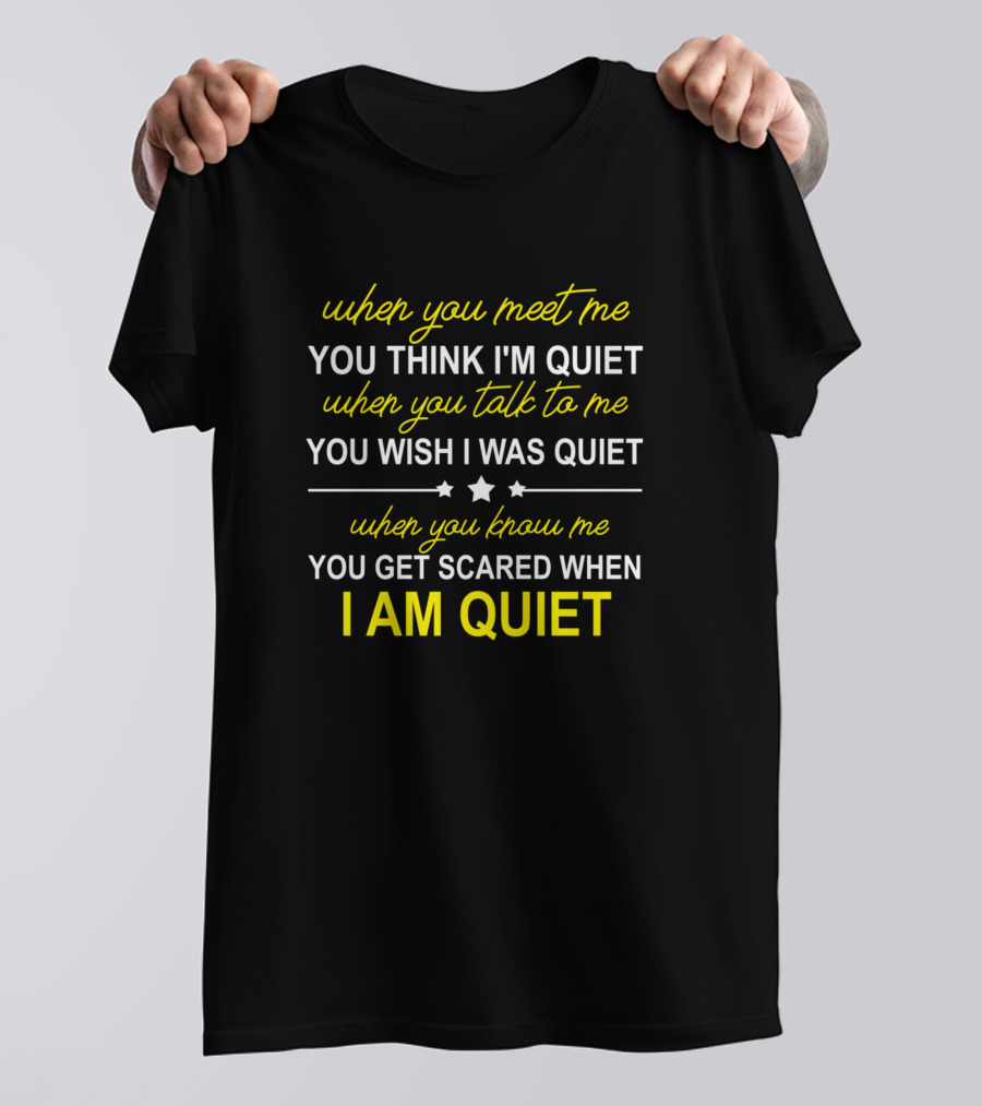 When You Meet Me You Think I'm Quiet When You Talk To Me You Wish I Was Quiet When You Know Me You Get Scared When I Am Quiet T-Shirt