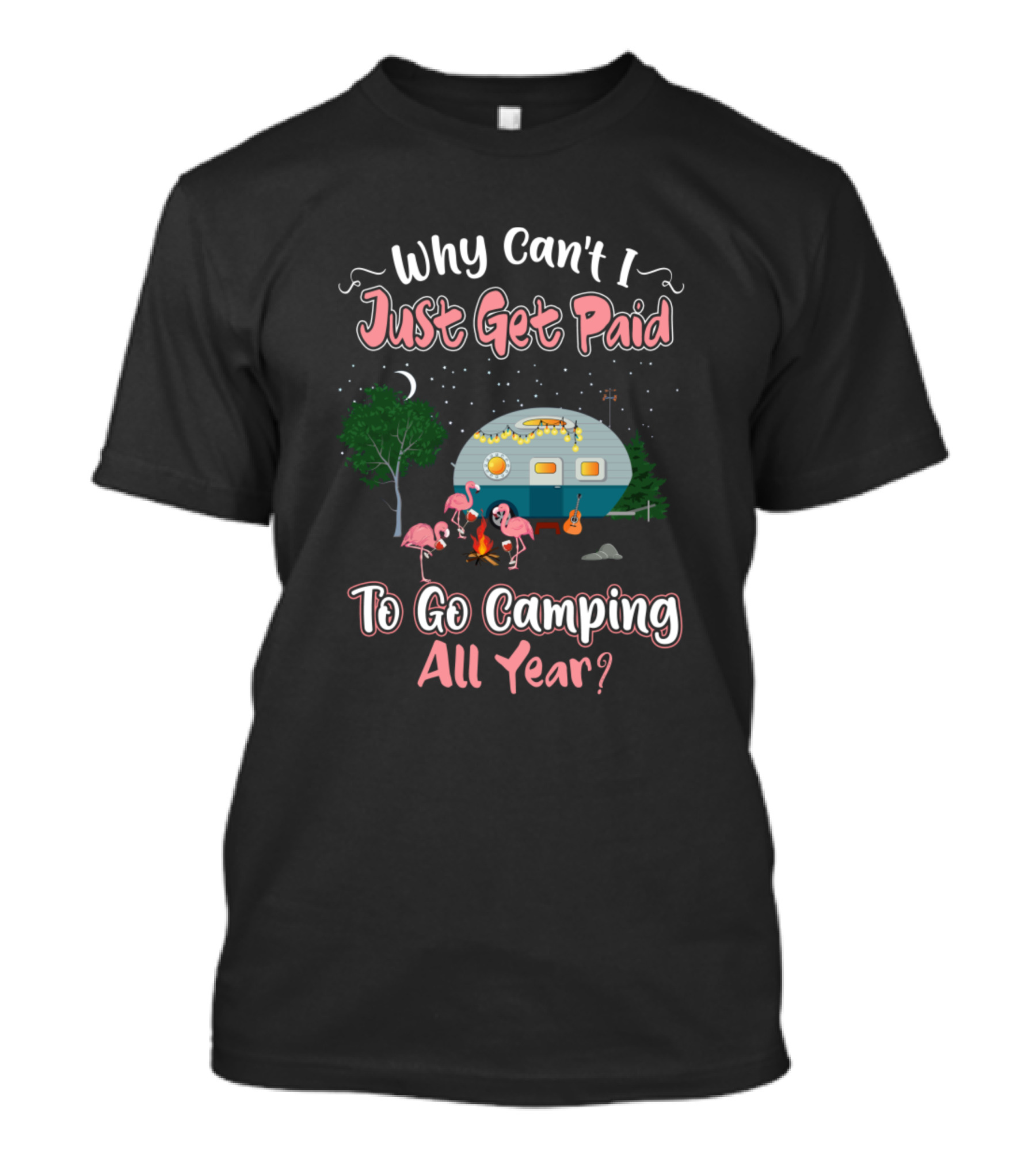 Why Can't I Just Get Paid To Go Camping All Year Flamingo Bird Camper Camping Lovers T-Shirt