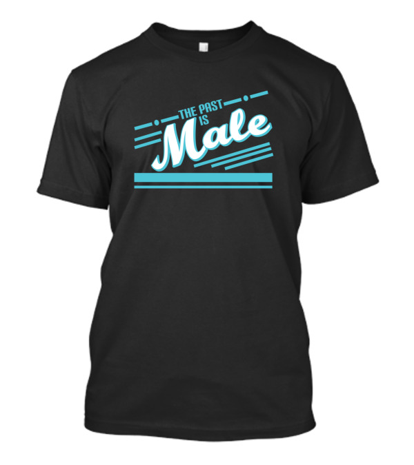 The Past Is Male Funny Hilarious Pe T-Shirt