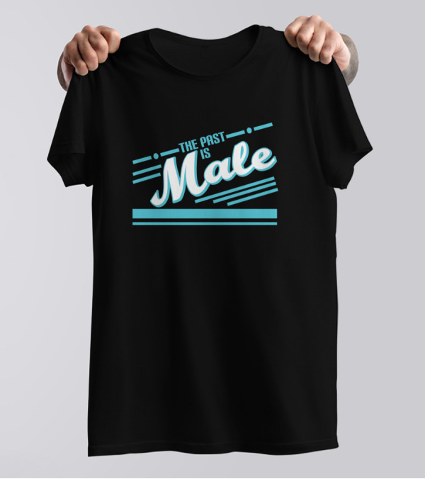 The Past Is Male Funny Hilarious Pe T-Shirt