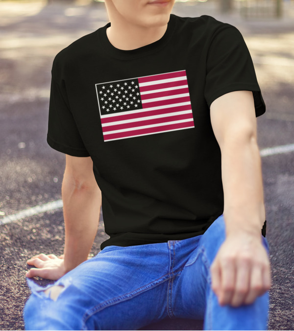 Usa Flag Navy American Patriotic Display T-Shirt