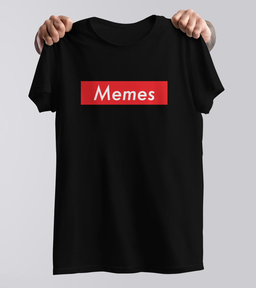 Memes Text In Red Rectangle T-Shirt