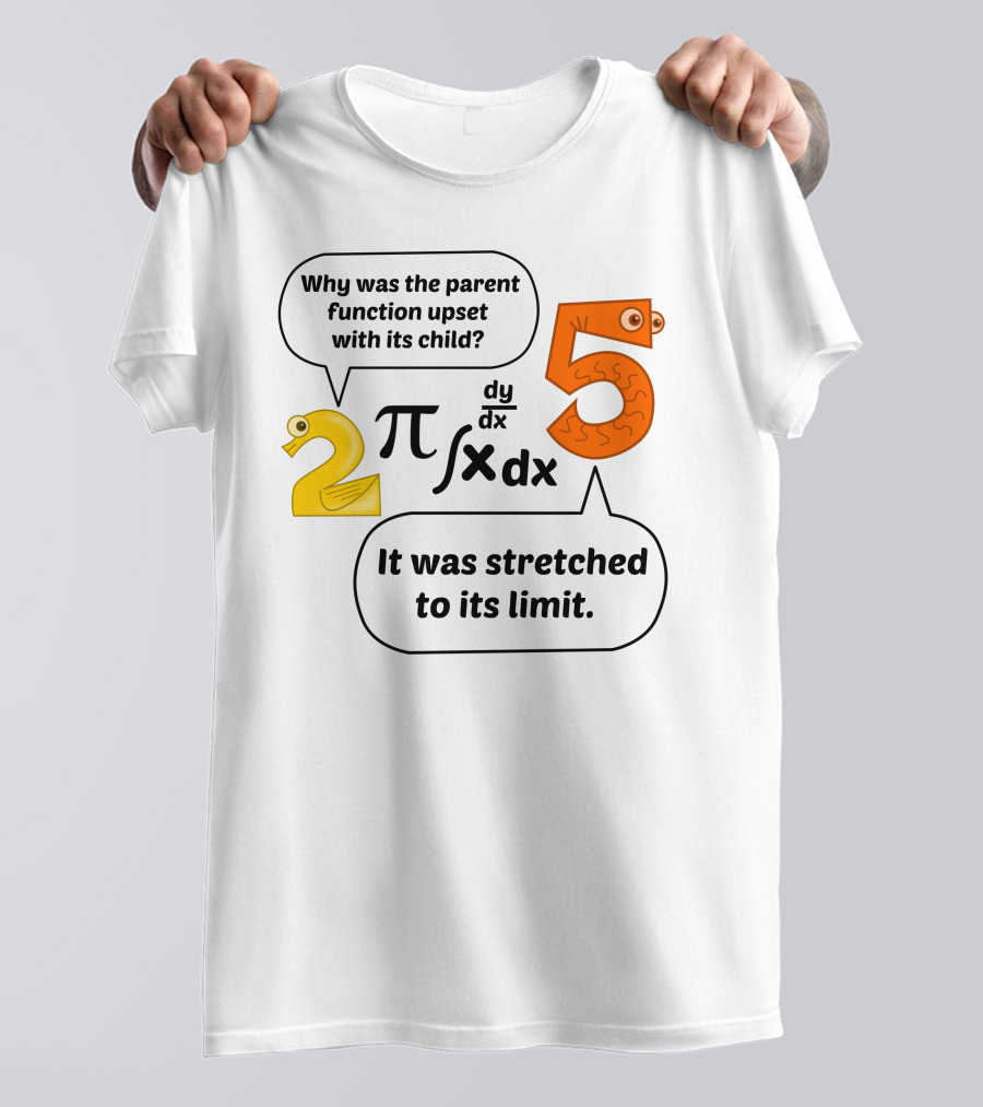 Why Was The Parent Function Upset With Its Child Pi Integral Dy Dx X Dx It Was Stretched To Its Limit T-Shirt