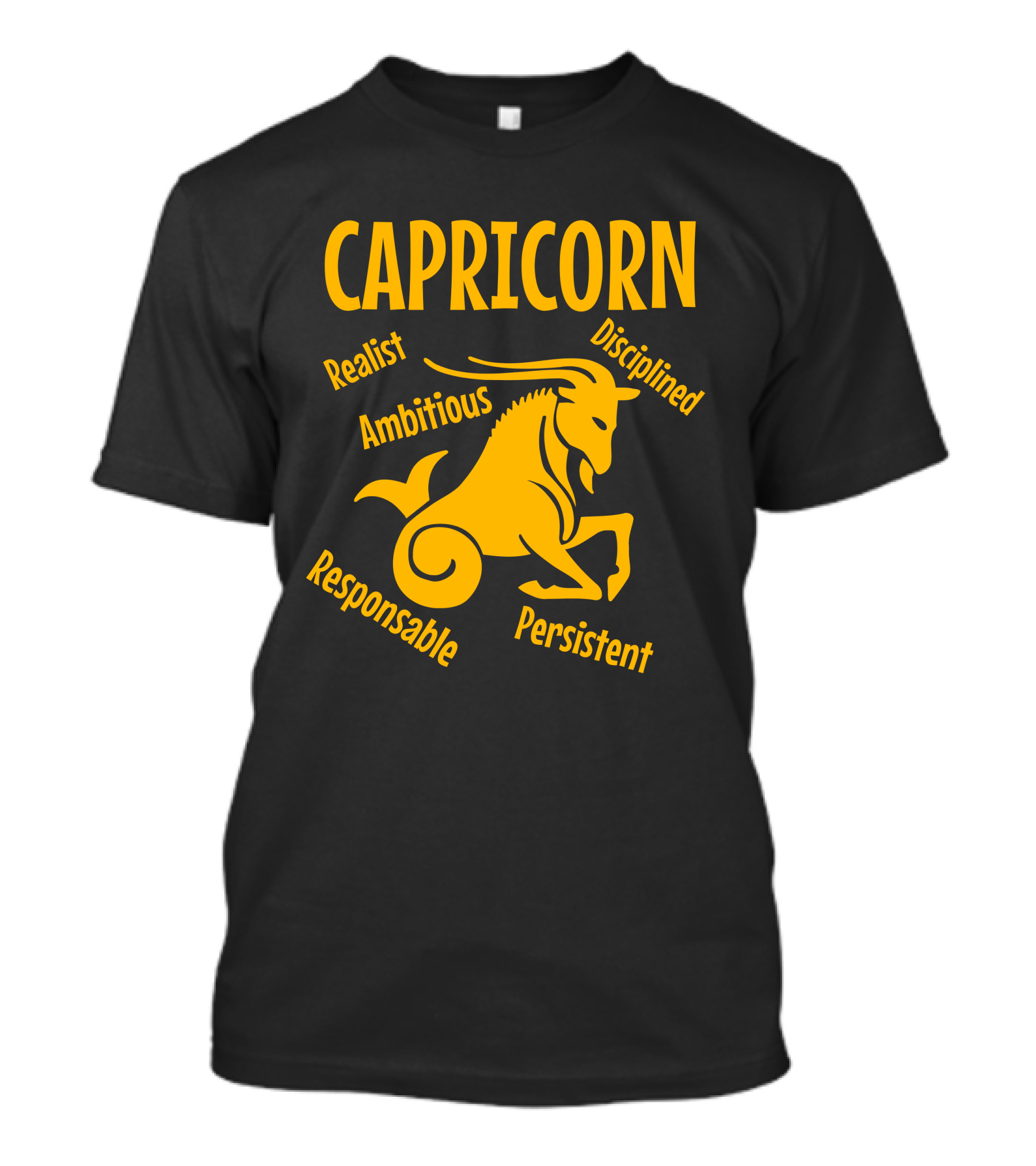 Capricorn Realist Ambitious Responsible Disciplined Persistent T-Shirt