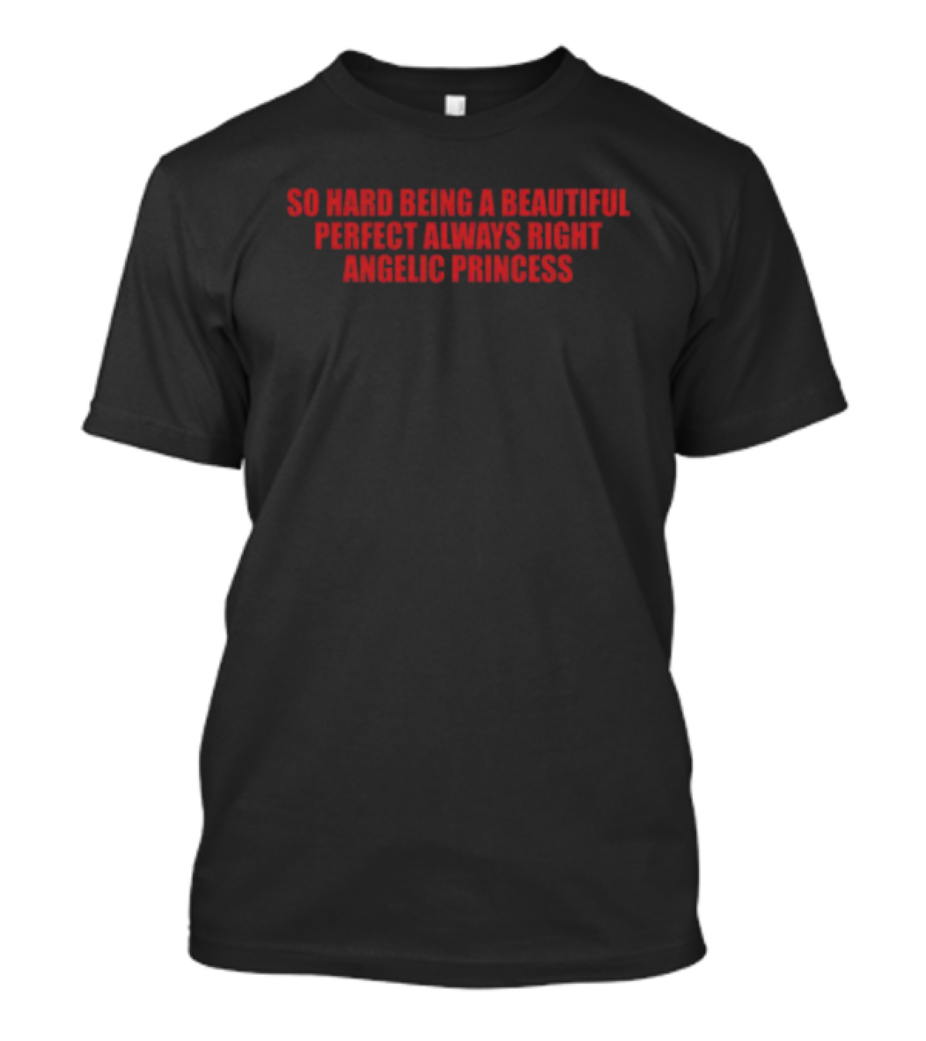 So Hard Being A Beautiful Perfect Always Right Angelic Princess T-Shirt