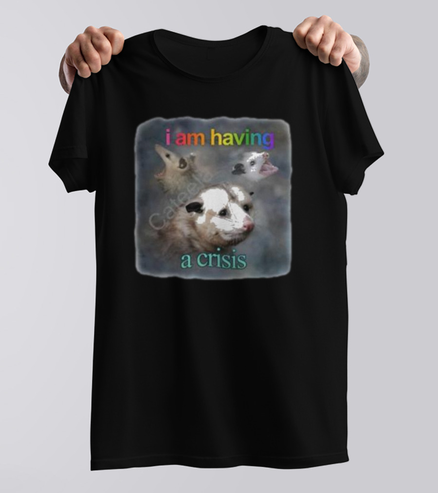 Snazzyseagull I Am Having A Crisis Possum Multicolored Text Mood T-Shirt