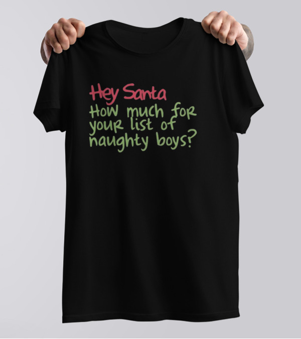 Hey Santa How Much For Your List Of Naughty Boys T-Shirt
