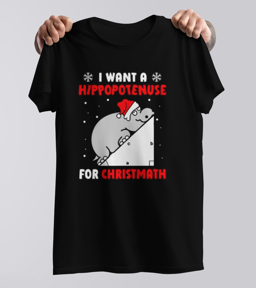 I Want A Hippopotenuse For Christmath Santa Hippo Geometry T-Shirt