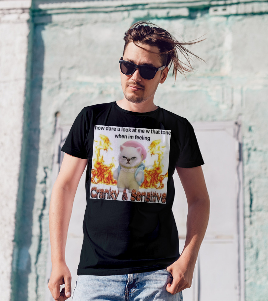 Cranky And Sensitive How Dare U Look At Me W That Tone When I'm Feeling T-Shirt