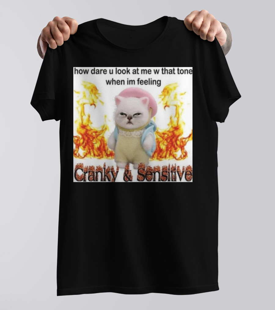 Cranky And Sensitive How Dare U Look At Me W That Tone When I'm Feeling T-Shirt