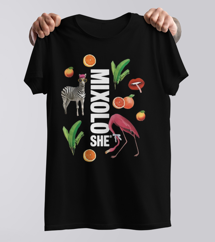 Mixoloshe Zebra Flamingo Lips With Fruits And Leaves T-Shirt