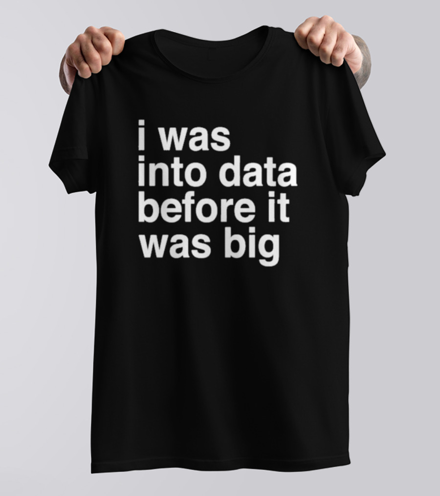 I Was Into Data Before It Was Big T-Shirt