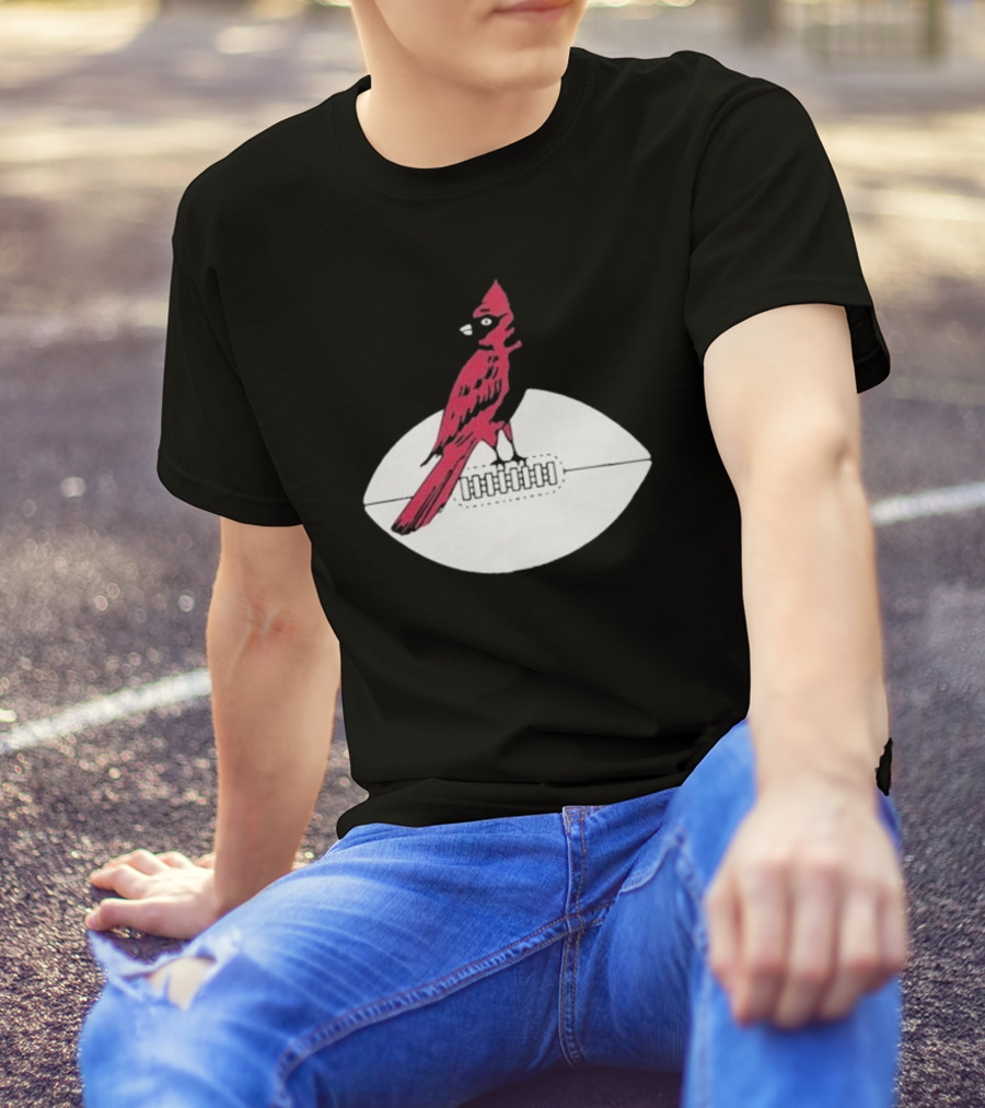 Arizona Cardinals Vintage Cardinal On Football T-Shirt