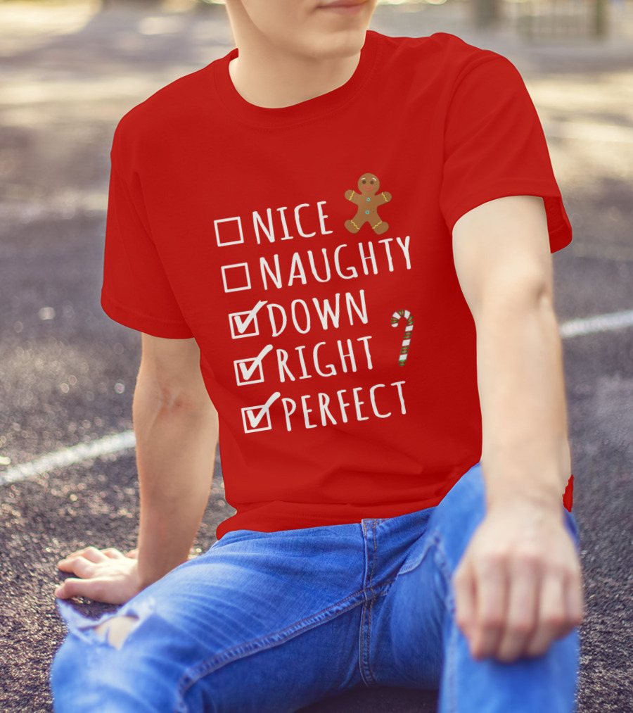 Nice Naughty Down Right Perfect Gingerbread Candy Cane Holiday Checklist T-Shirt