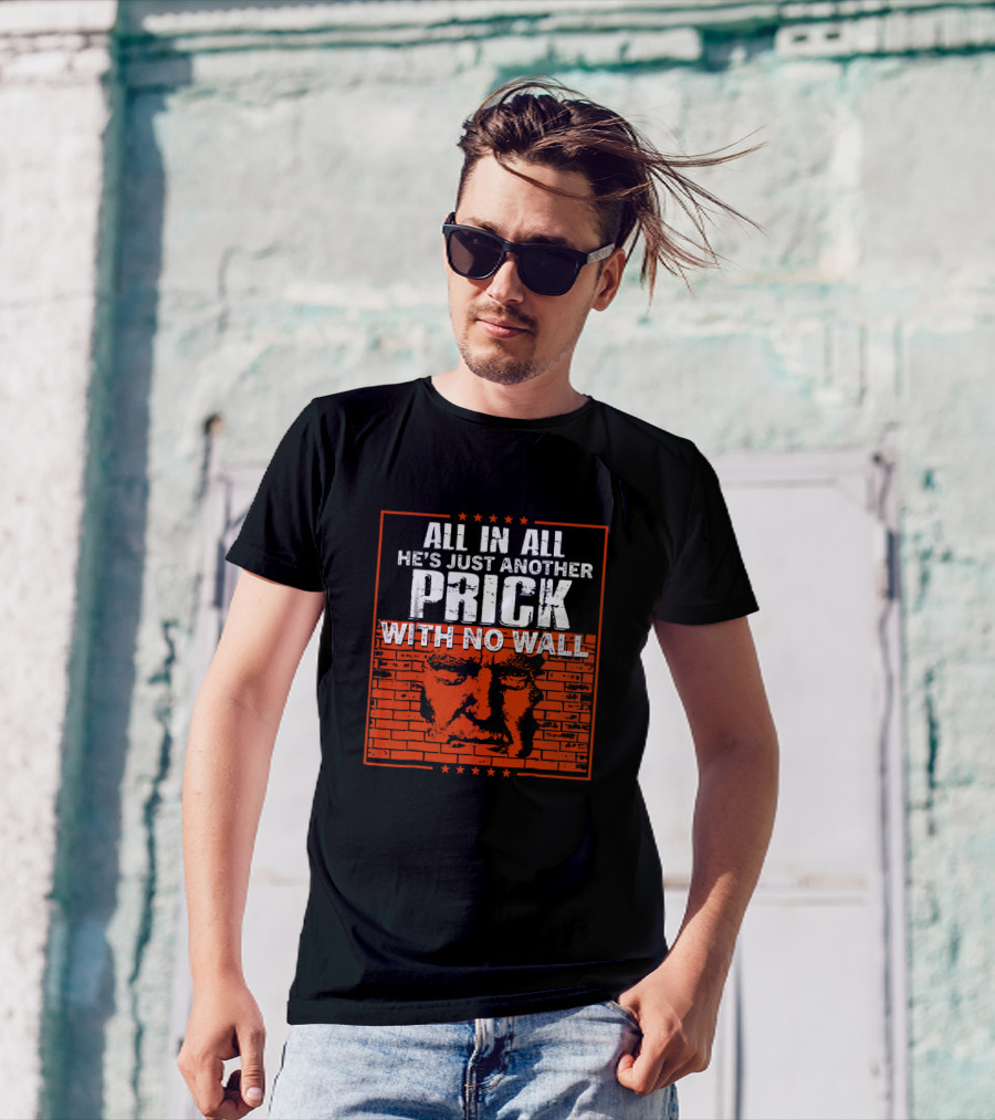All In All He's Just Another Prick With No Wall With Brick Background T-Shirt