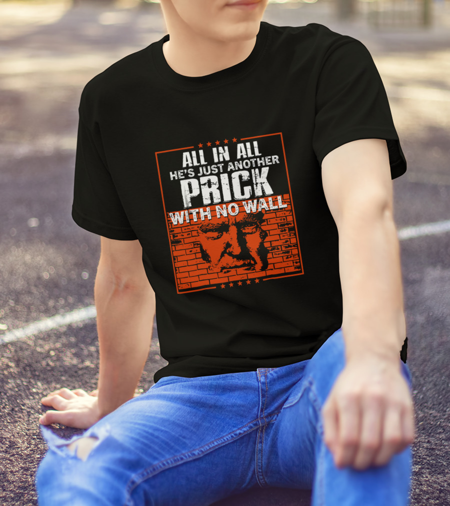 All In All He's Just Another Prick With No Wall With Brick Background T-Shirt