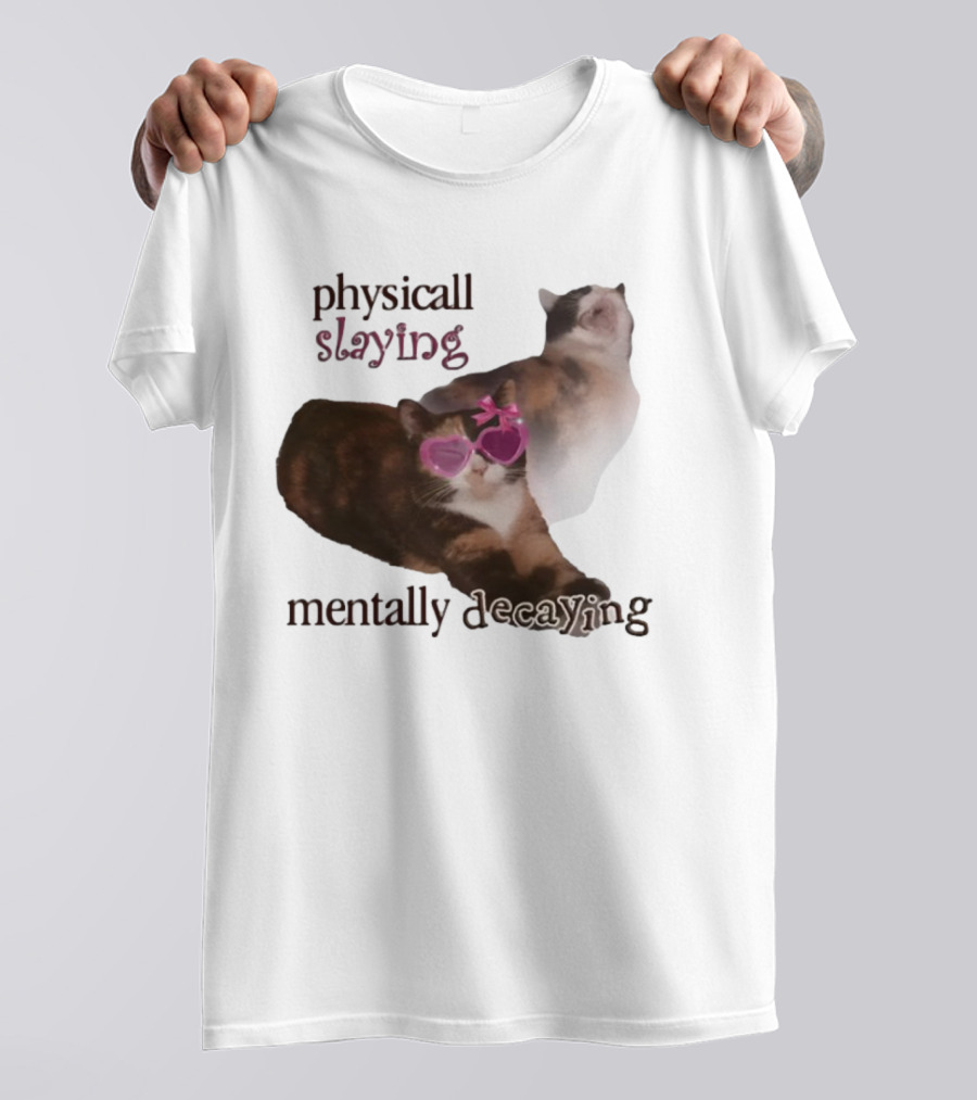 ```Snazzyseagull Physically Slaying Mentally Decaying Cat With Pink Heart Sunglasses``` T-Shirt