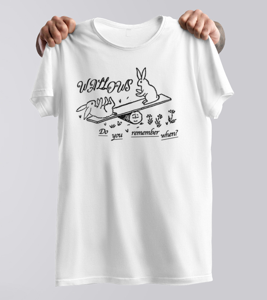 Wallows Remember When Rabbit Skateboarding T-Shirt