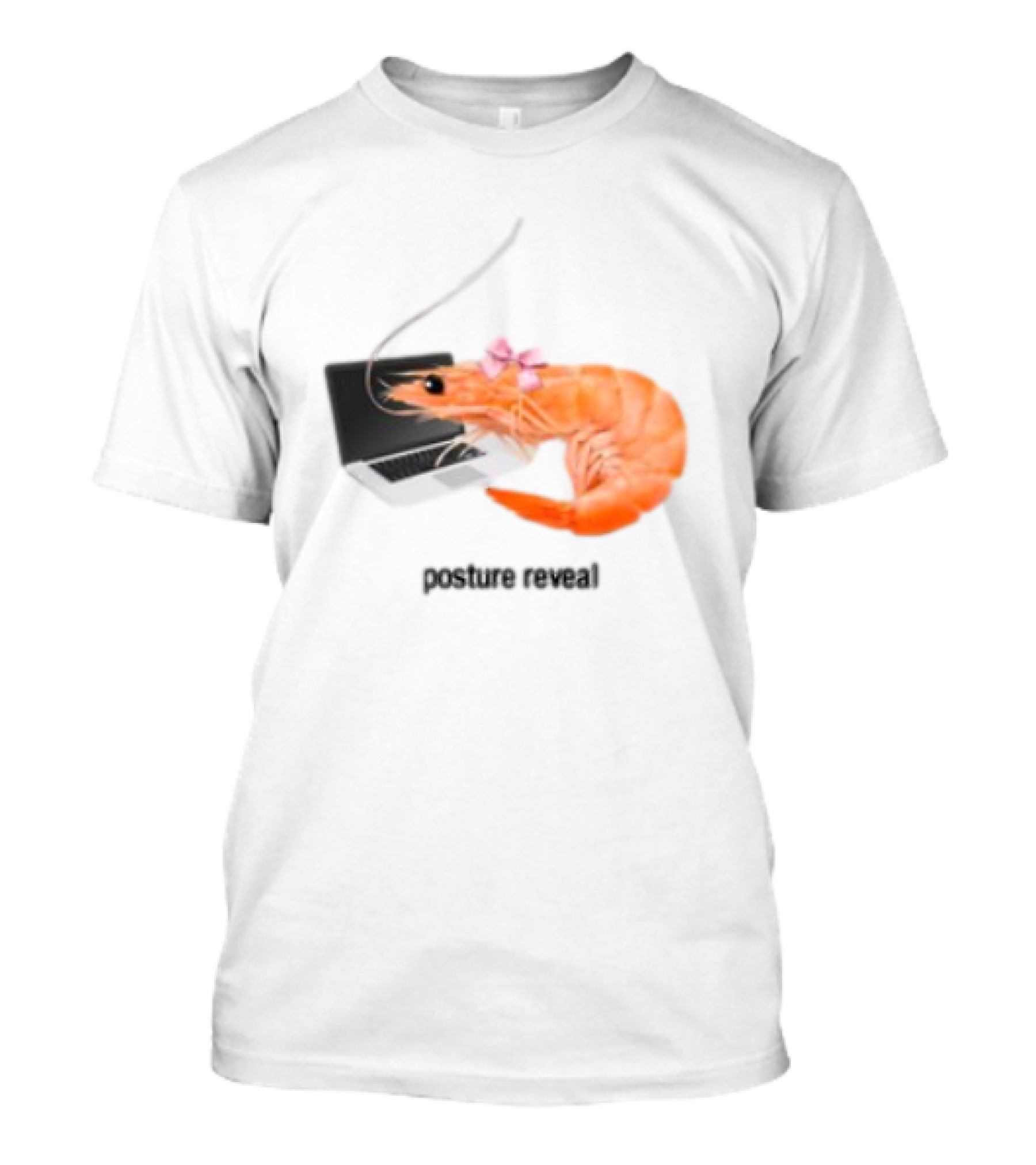 Shrimp Laptop Bow Posture Reveal T-Shirt