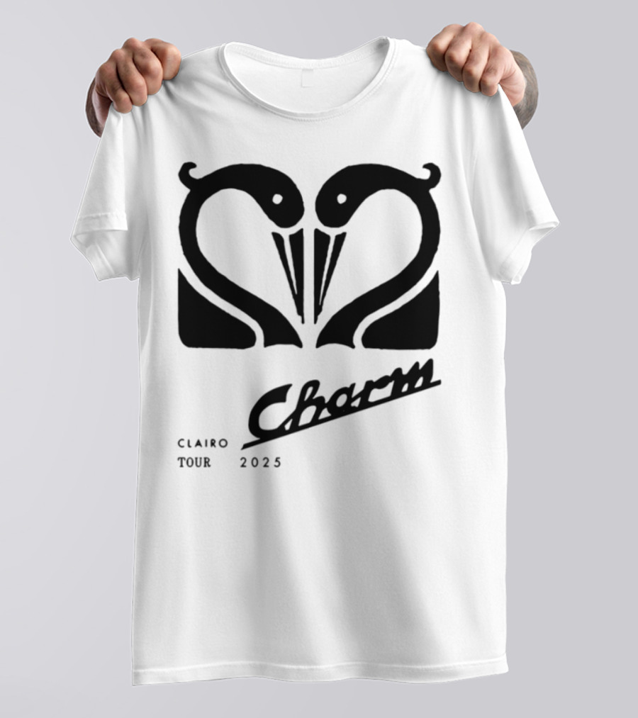 Charm Swan Europe Tour 23 Concert Aesthetic Retro Swans T-Shirt
