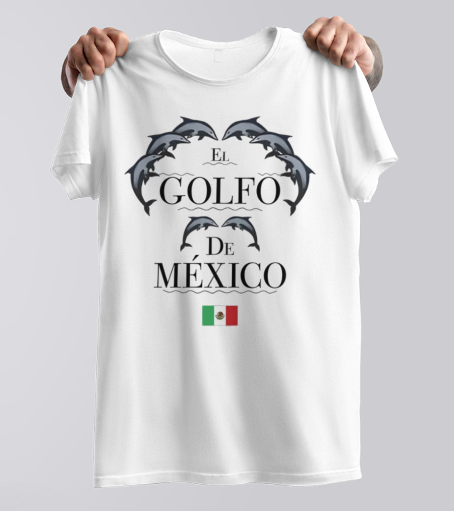 Golfo De México Dolphins Mexican Flag T-Shirt