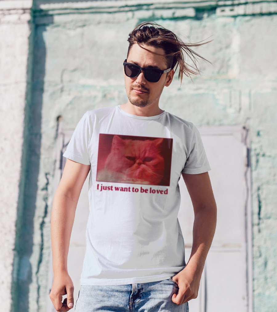 Volodymyr Testardі I Just Want To Be Loved Grumpy Cat Red Tones T-Shirt