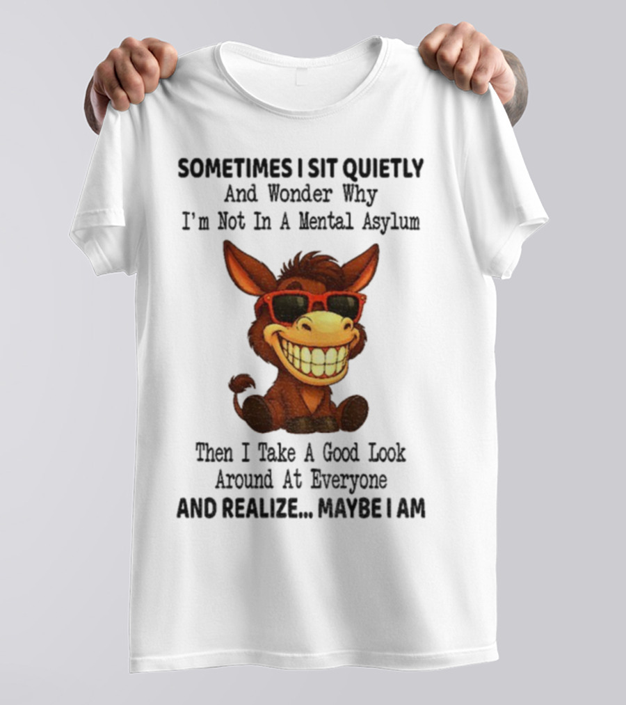 Sometimes I Sit Quietly And Wonder Why I'm Not In A Mental Asylum Then I Take A Good Look Around At Everyone And Realize Maybe I Am Donkey Meme T-Shirt