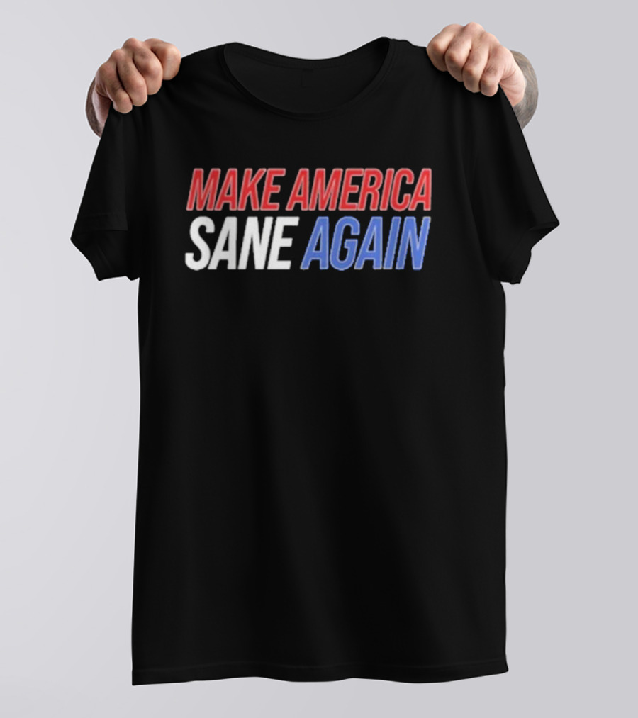 Duke Gomez Make America Sane Again Red White Blue Text T-Shirt