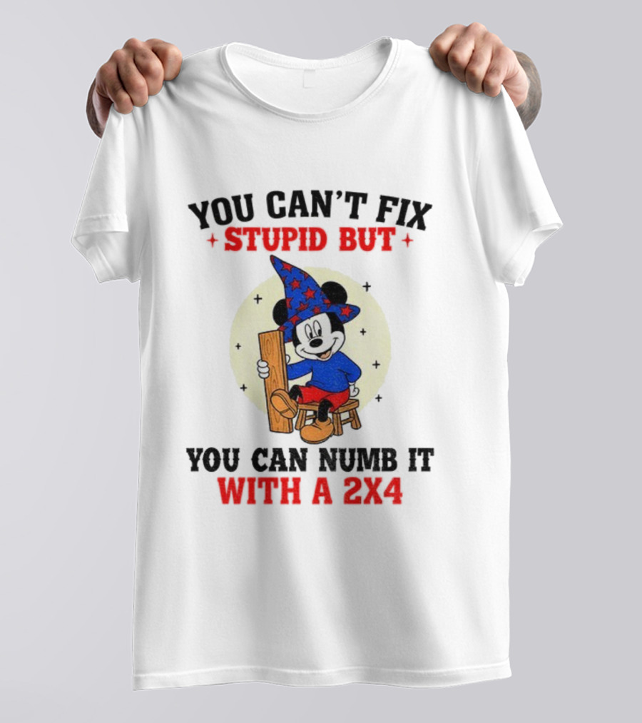 You Can't Fix Stupid But You Can Numb It With A 2x4 Mickey Witch T-Shirt