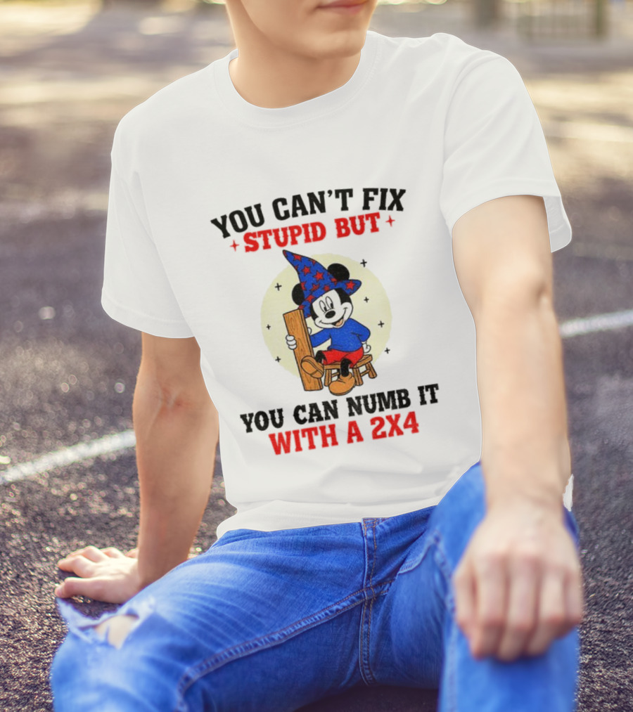 You Can't Fix Stupid But You Can Numb It With A 2x4 Mickey Witch T-Shirt