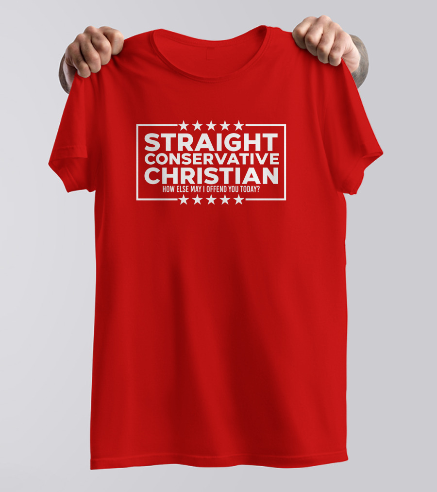 Hodgetwins Store Straight Conservative Christian How Else May I Offend You Today T-Shirt