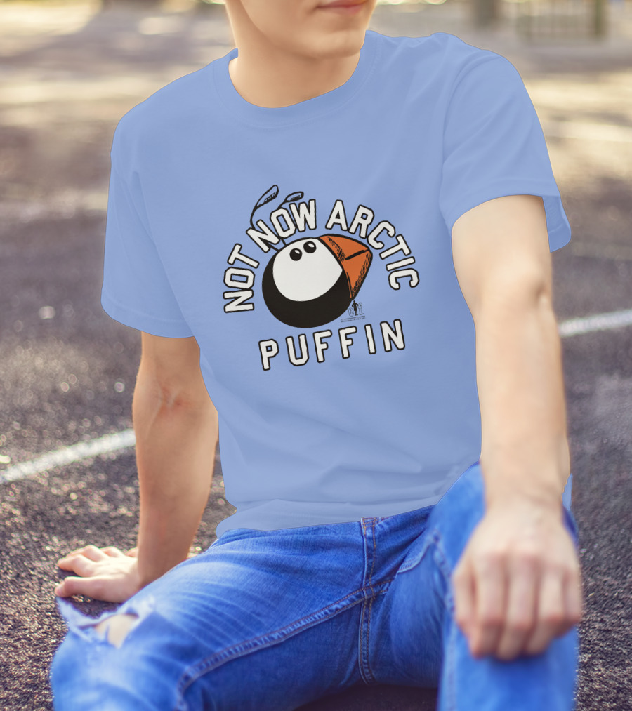 Not Now Arctic Puffin Mood Just Mike T-Shirt