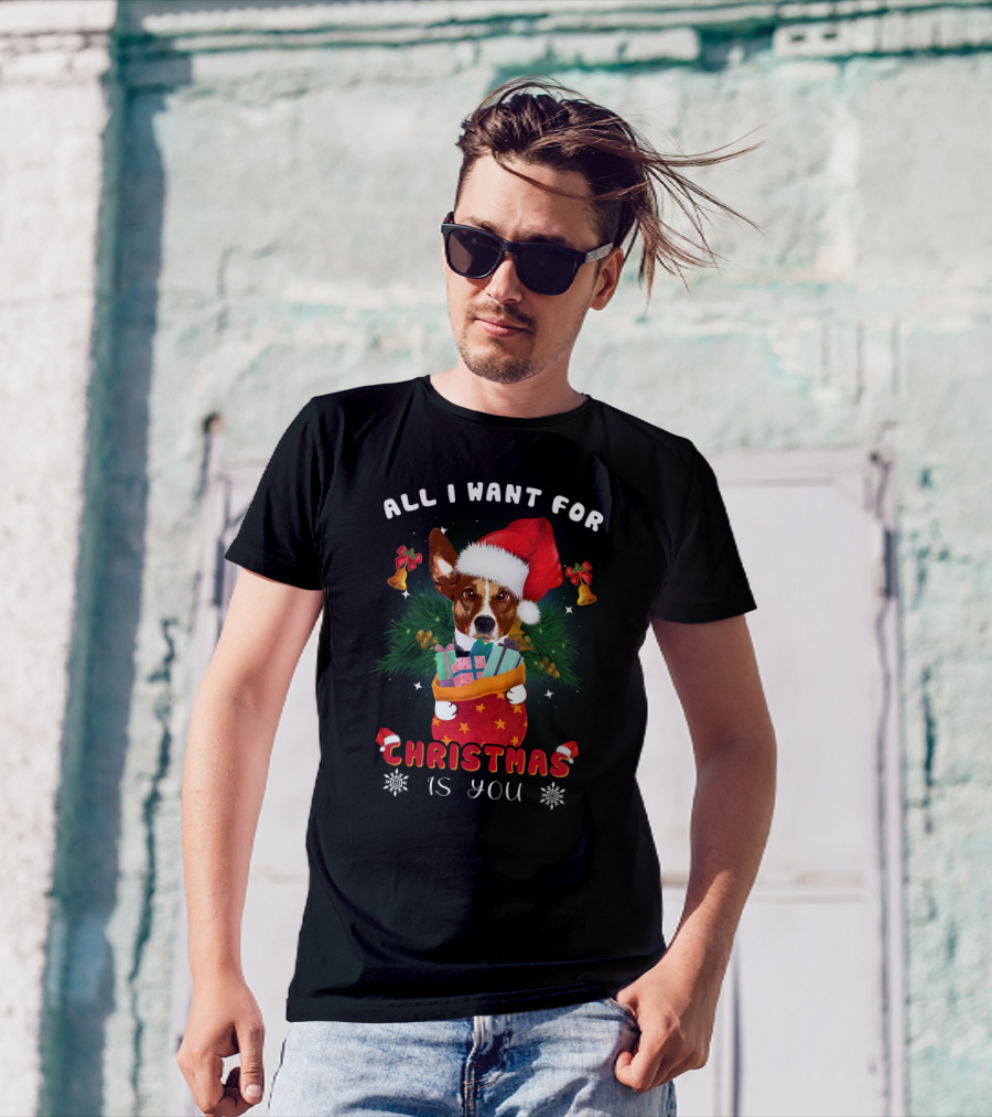 All I Want For Christmas Is You Dog Santa Hat Festive Bells And Gifts T-Shirt