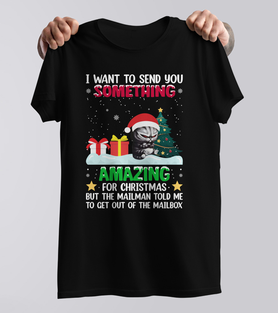 I Want To Send You Something Amazing For Christmas But The Mailman Told Me To Get Out Of The Mailbox Cat T-Shirt