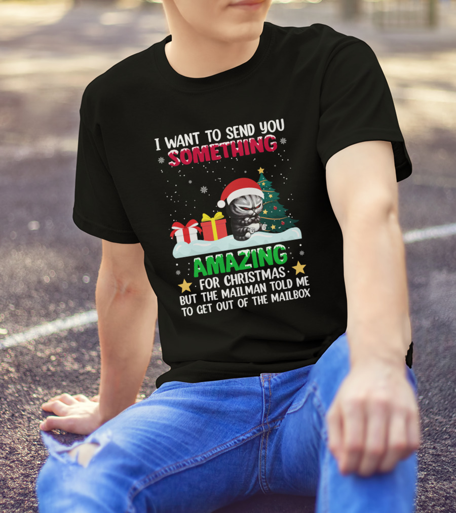 I Want To Send You Something Amazing For Christmas But The Mailman Told Me To Get Out Of The Mailbox Cat T-Shirt