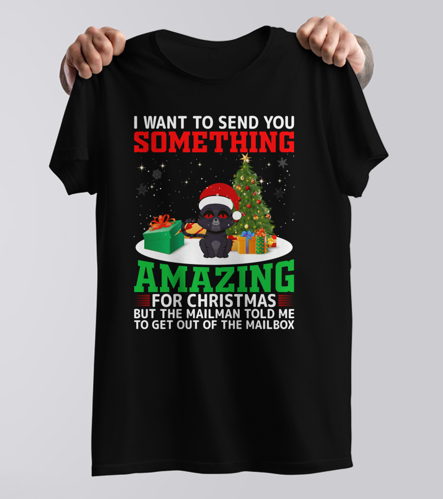 I Want To Send You Something Amazing For Christmas But The Mailman Told Me To Get Out Of The Mailbox T-Shirt
