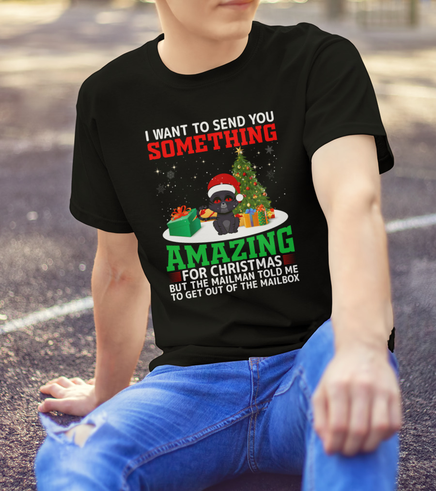 I Want To Send You Something Amazing For Christmas But The Mailman Told Me To Get Out Of The Mailbox T-Shirt