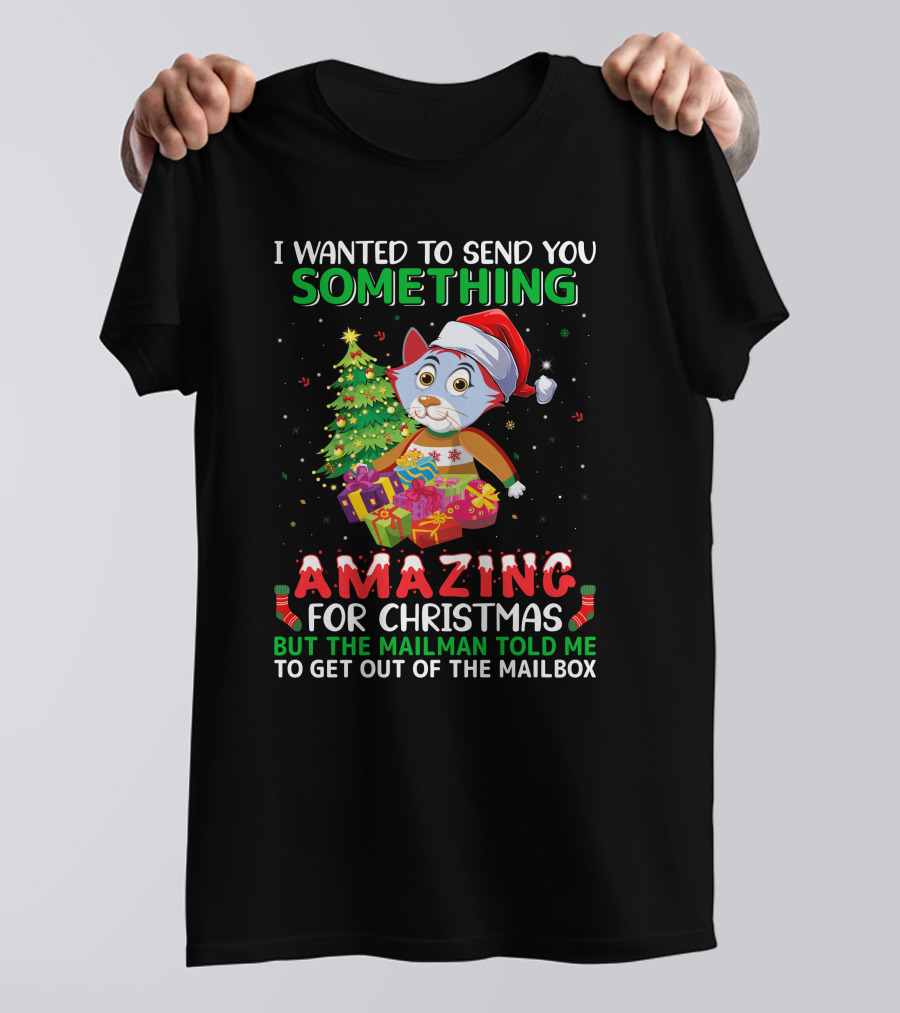 I Wanted To Send You Something Amazing For Christmas But The Mailman Told Me To Get Out Of The Mailbox T-Shirt