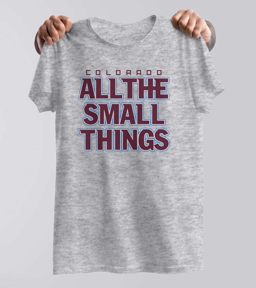 Colorado All The Small Things T-Shirt