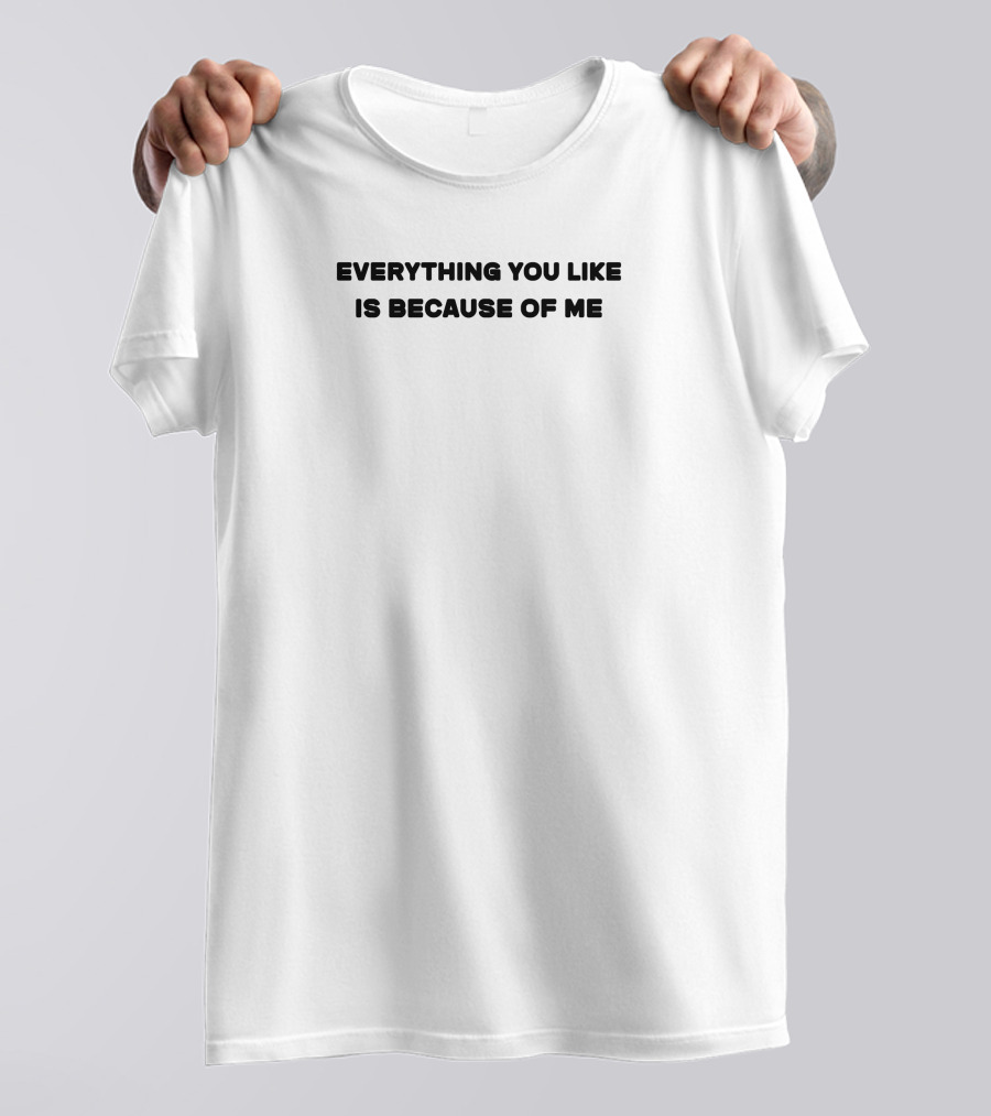 Everything You Like Is Because Of Me T-Shirt