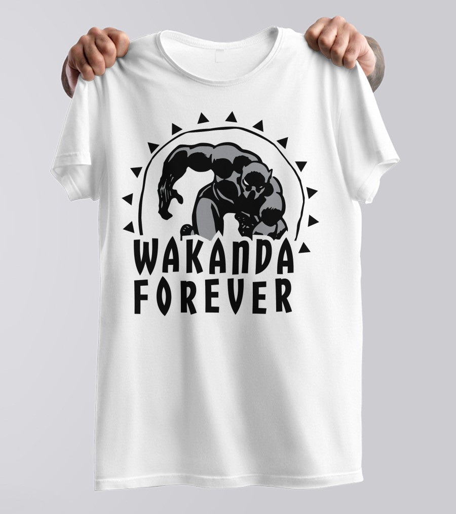 Marvel Black Panther Wakanda Forever Sun Triangles Hero Pose T-Shirt