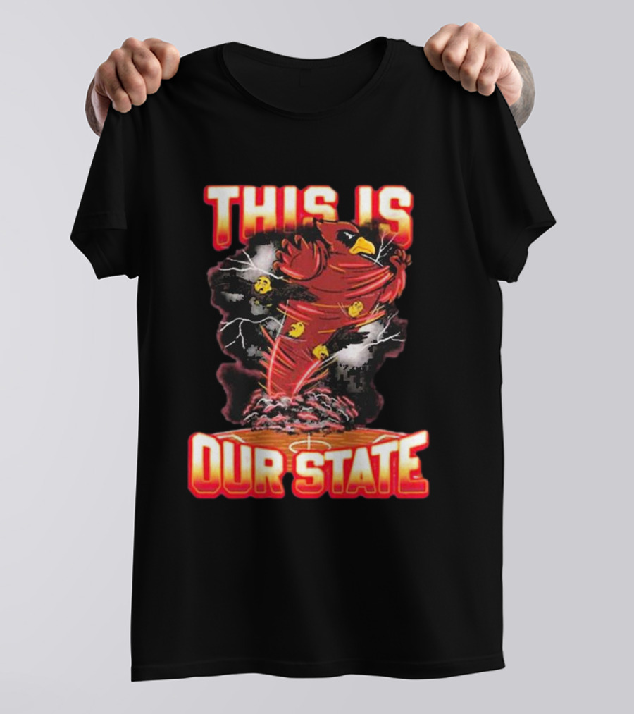 THIS IS OUR STATE Arizona Cardinals Official NFL Team Gear T-Shirt
