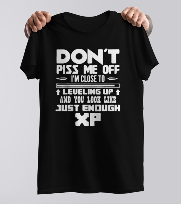 Don’t Piss Me Off I’m Close To Leveling Up And You Look Like Just Enough XP T-Shirt